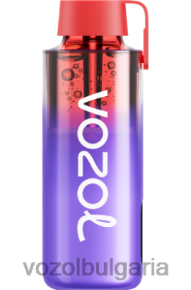 VOZOL Vape Bulgaria - VOZOL NEON 10 000 R4BP4242 къпинов лед