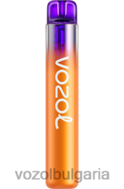 VOZOL Bulgaria Price - VOZOL NEON 800 R4BP4253 праскова манго диня